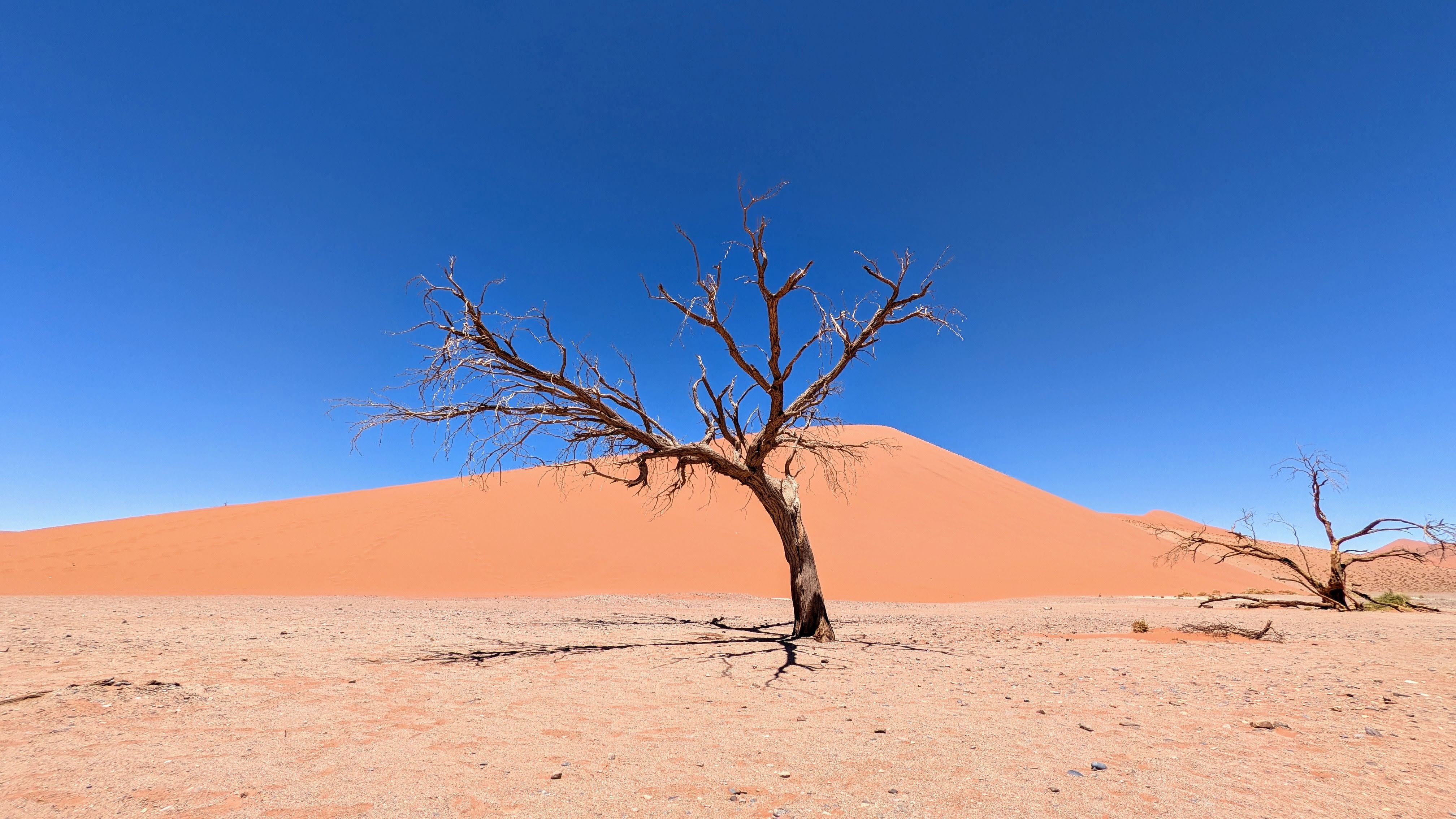 Offroad Fahrzeug Namibia